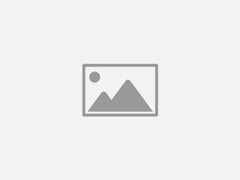 Top-5-Surprising-Free-Alternatives-for-Adobe-CC-Cover-Photo